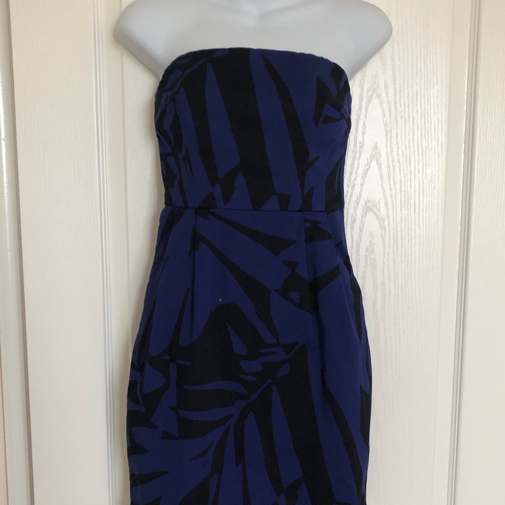 Express Strapless Dress